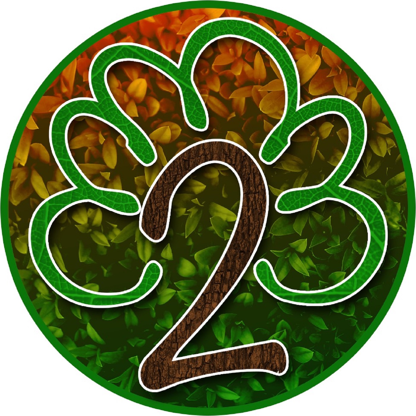 Season Two, Episode Five - The Couple Two Tree Guys Country Showdown