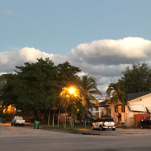 episode two: calle ocho