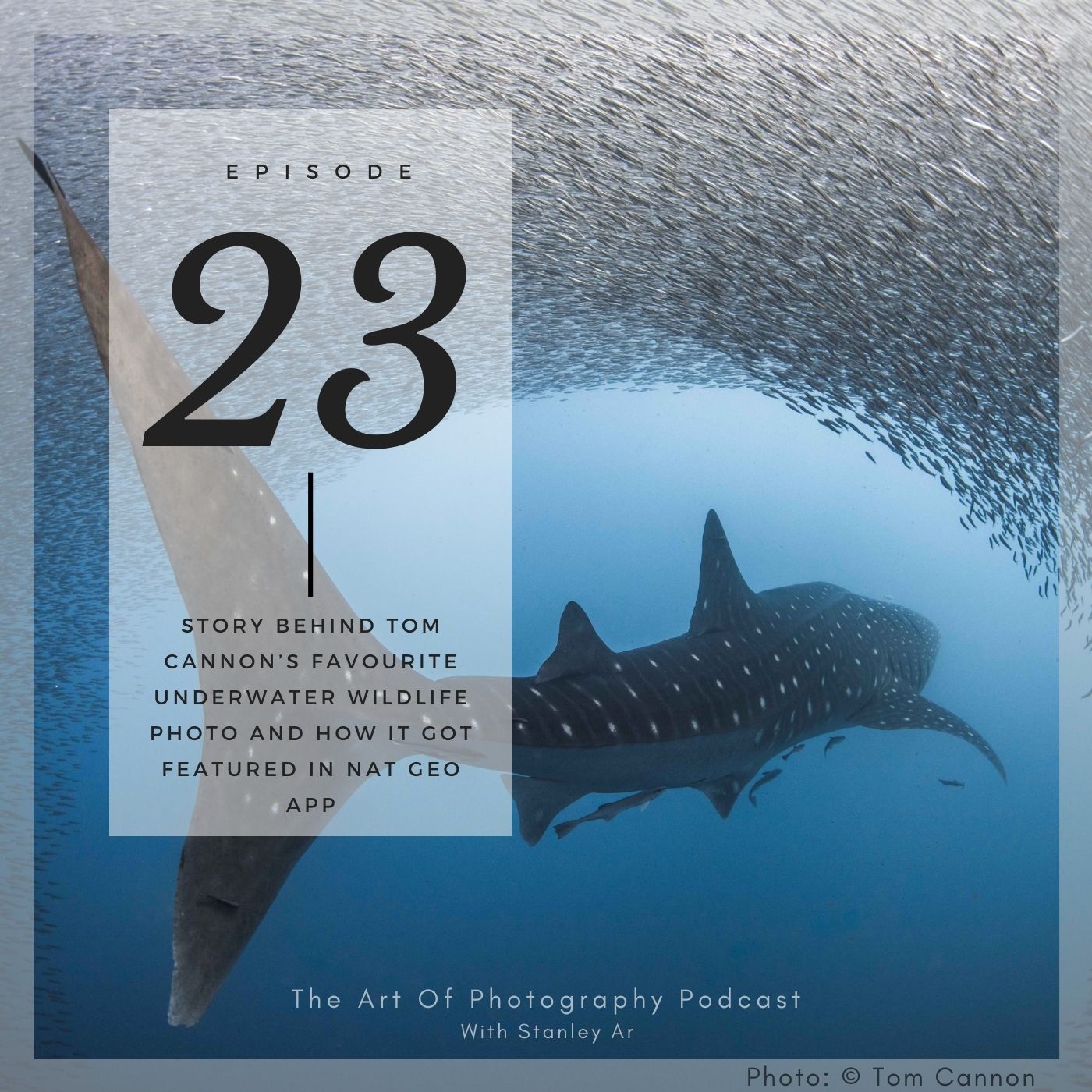 The Art of Photography