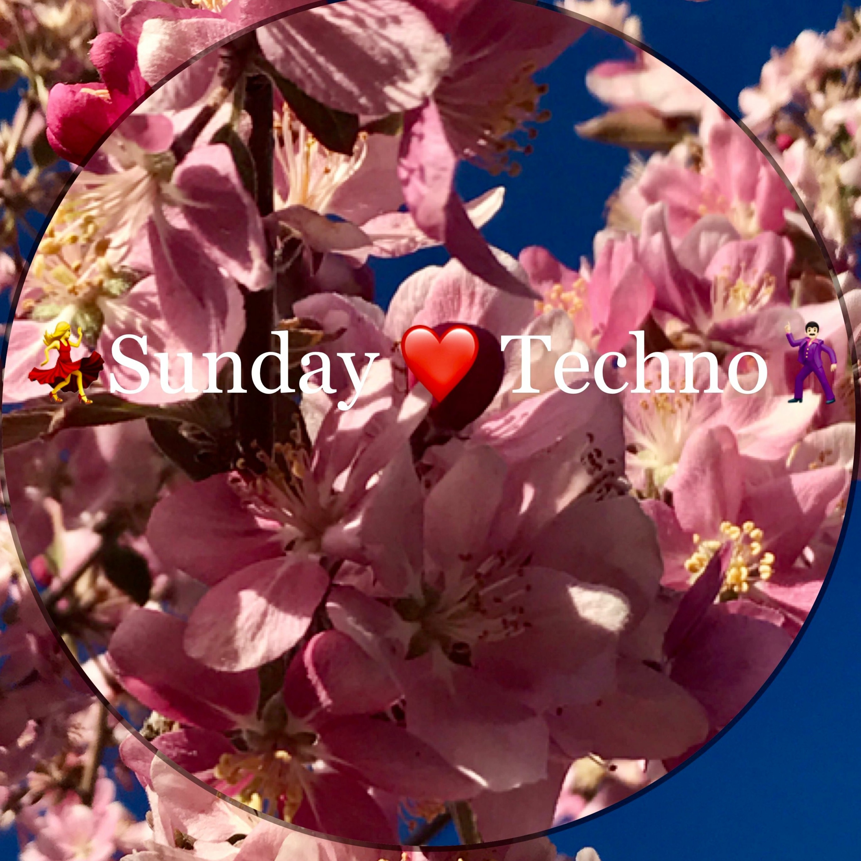 Melodic Techno International