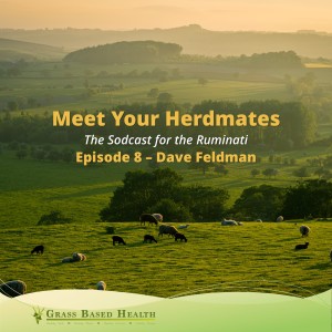 8 - Dave Feldman