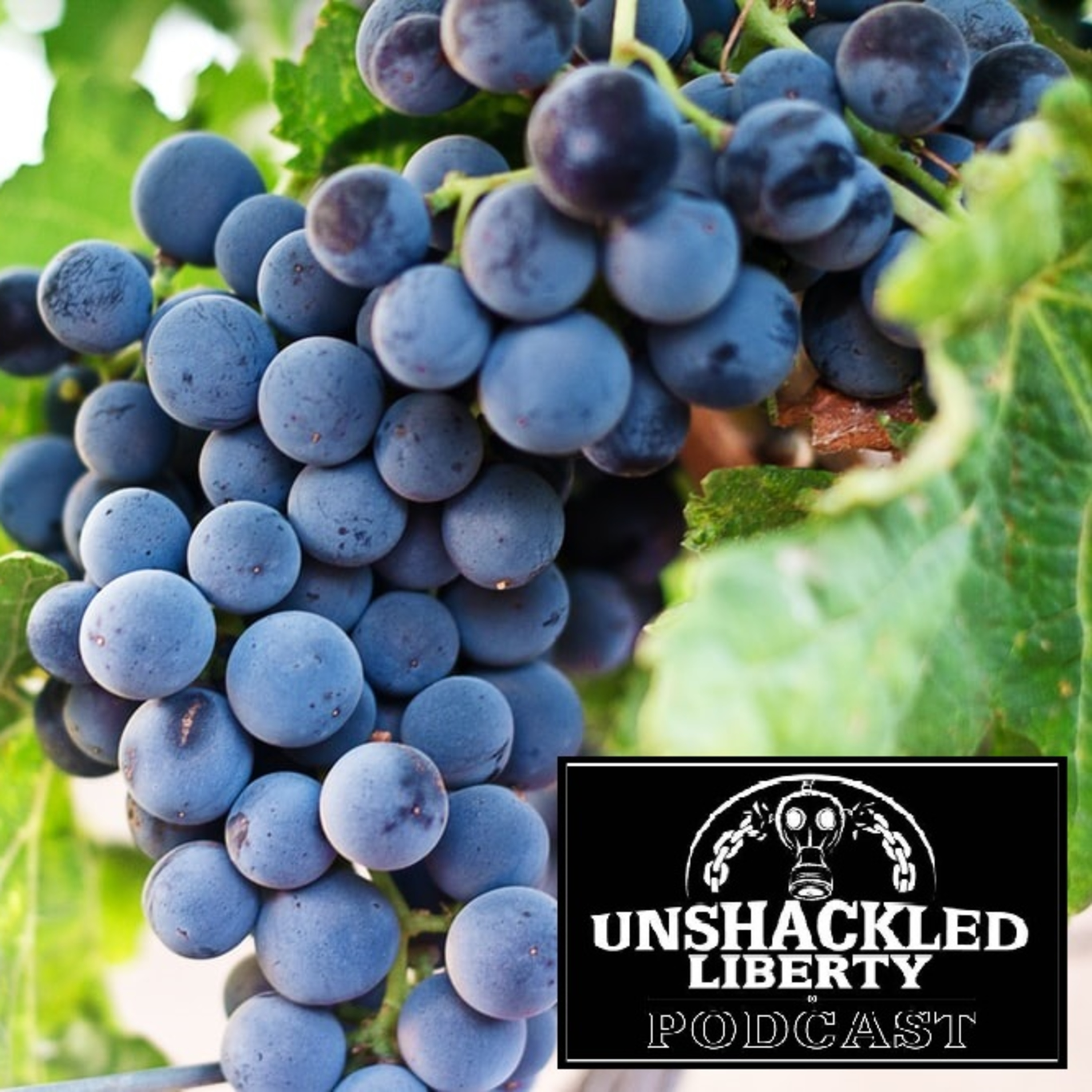 Unshackled Liberty Podcast