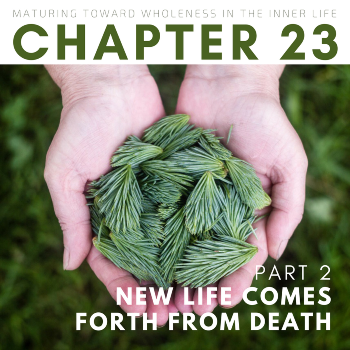 New Life Comes Forth from Death (2 OF 2)
