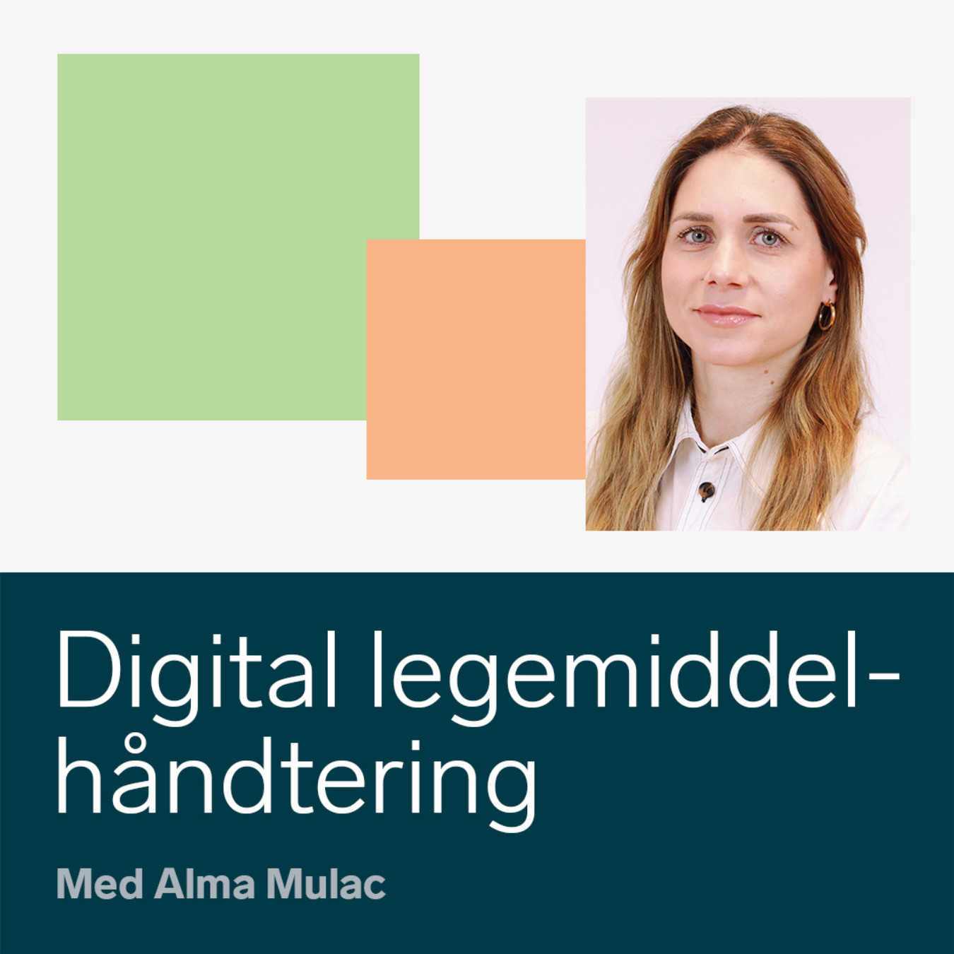 Norwegian Centre for E-health Research podcast