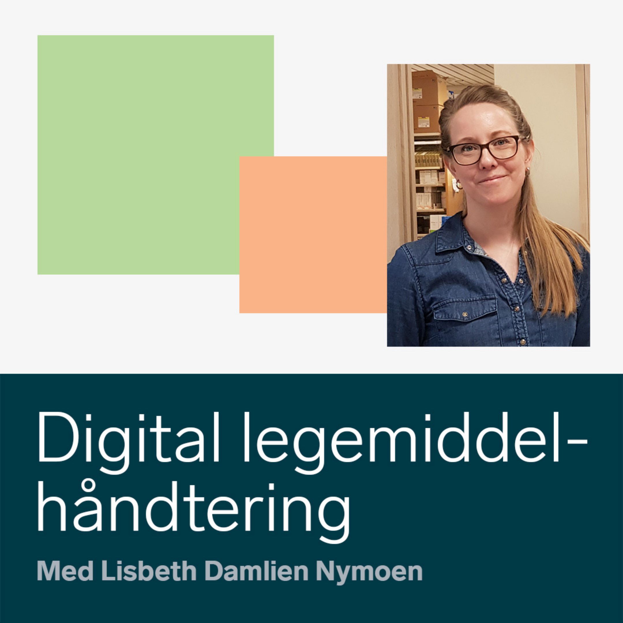 Norwegian Centre for E-health Research podcast