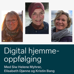 Kommunen sitt ansvar for digital hjemmeoppfølging