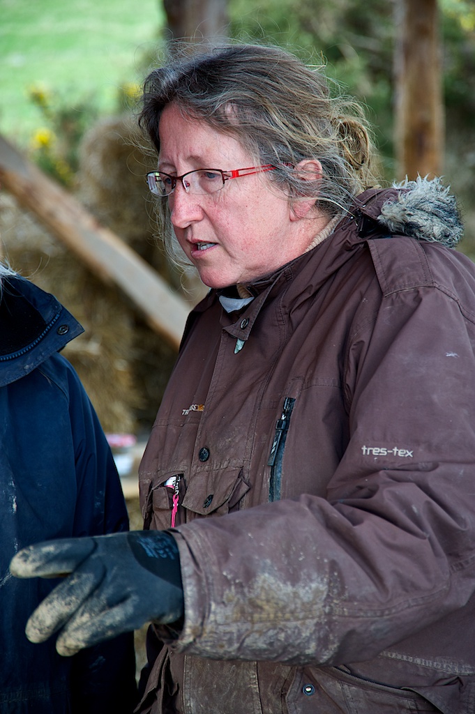 Cailleach