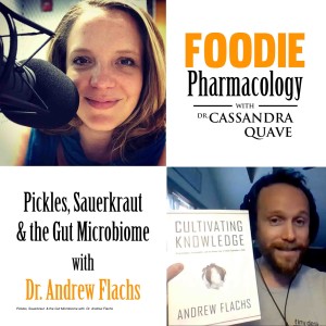 Pickles, Sauerkraut & the Gut Microbiome with Dr. Andrew Flachs