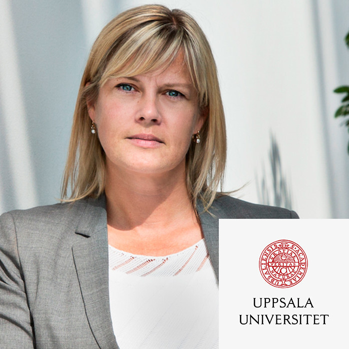 Speeding up solutions - is Vattenfall transforming the system from within?