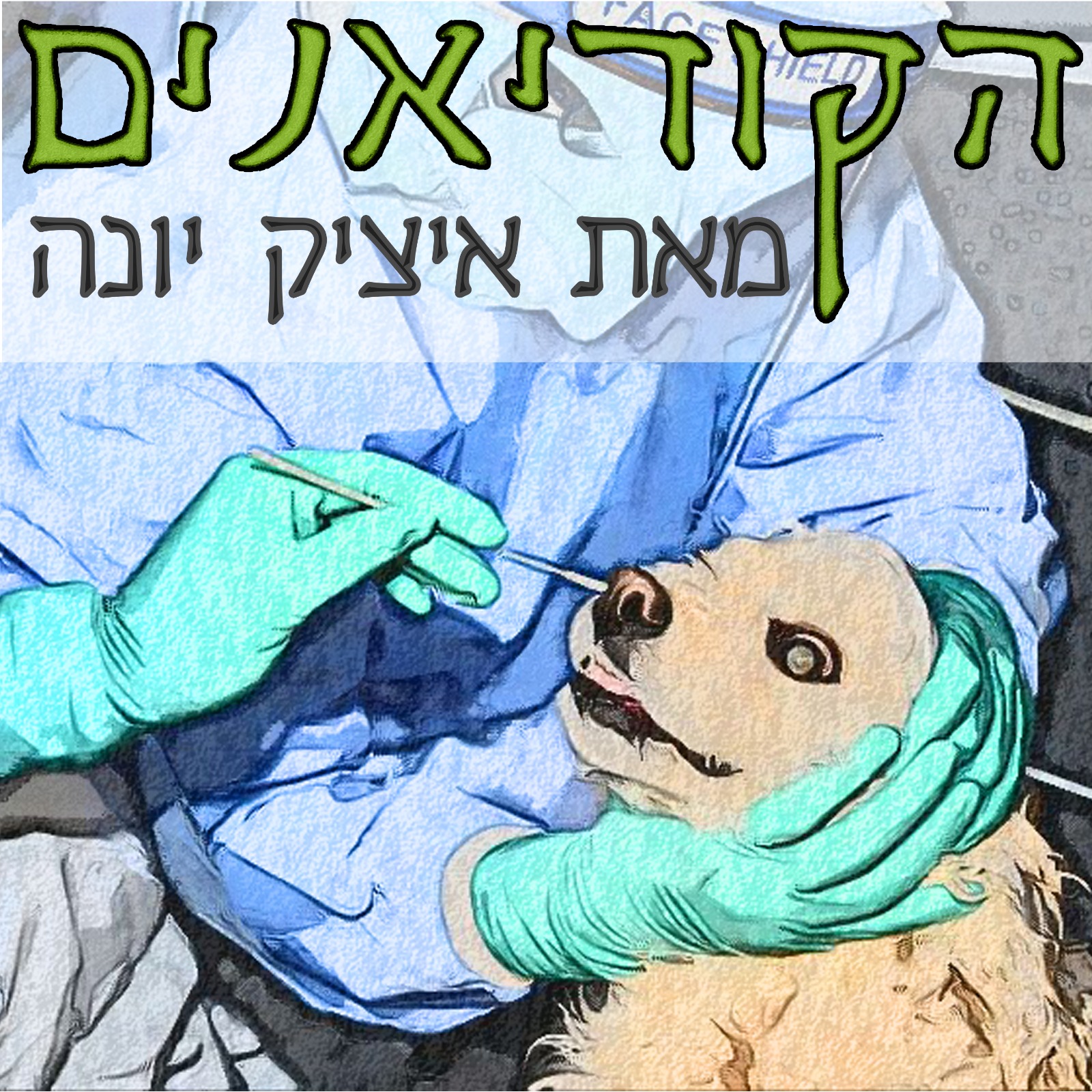 ״הקוריאנים״ - המדריך לאנשים ועסקים בקוריאה