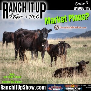 What Are Your Marketing Plans?