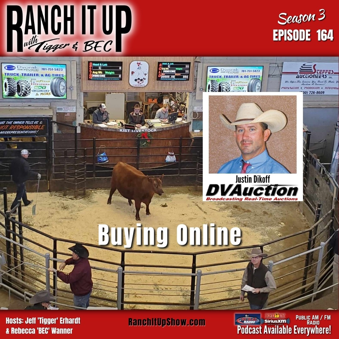 How To Bid & Buy Cattle Online, Cattle Ponzi Scheme Update, & More