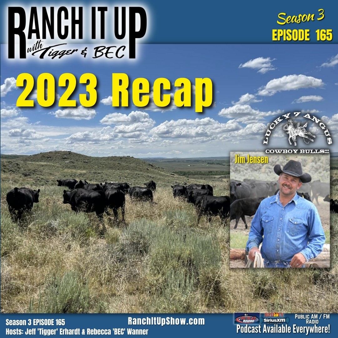 This Is What Is Happening With The Agridime Cattle Ponzi Scheme Ranch