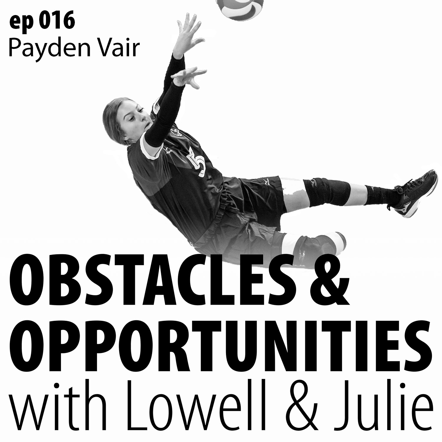 Obstacles & Opportunities