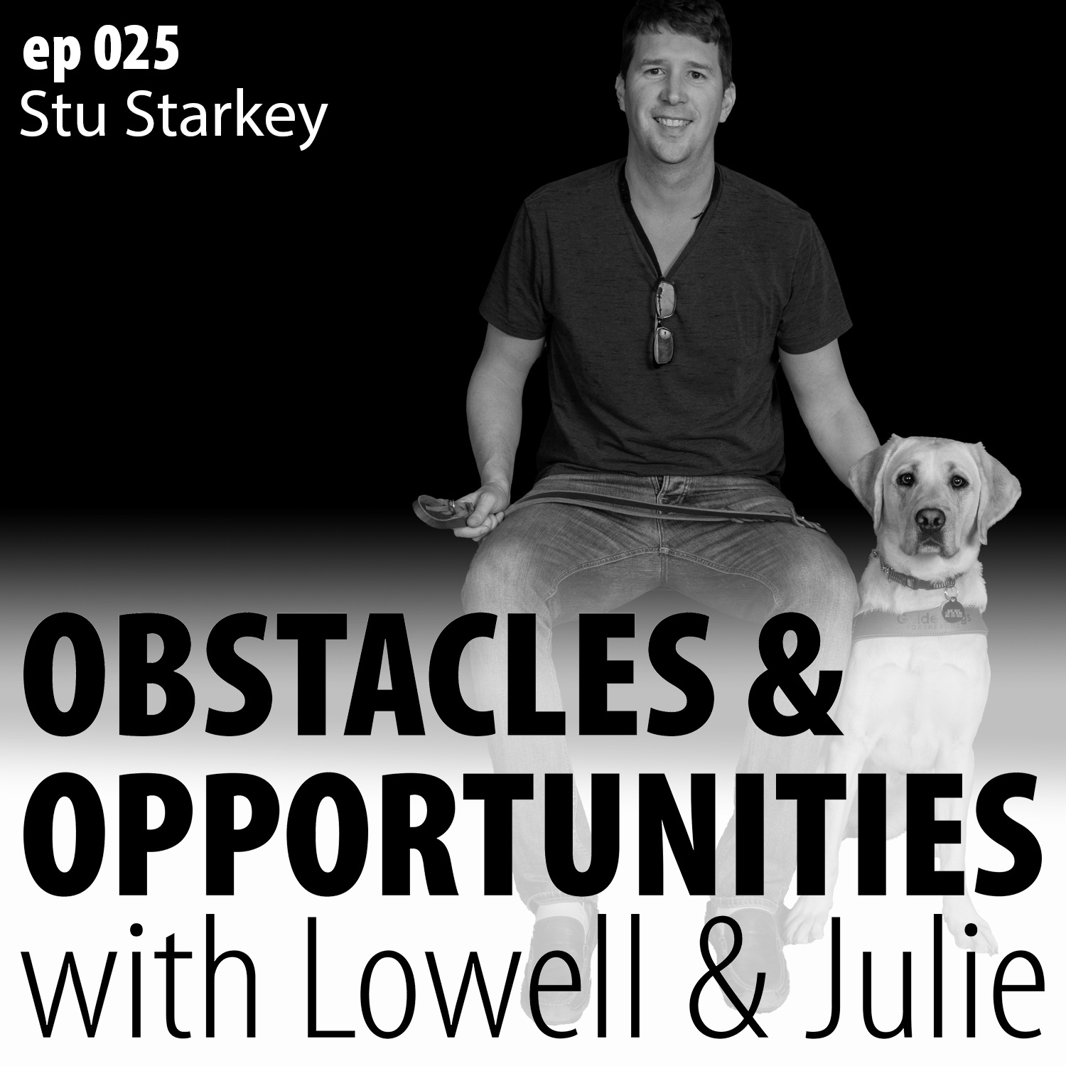 Obstacles & Opportunities