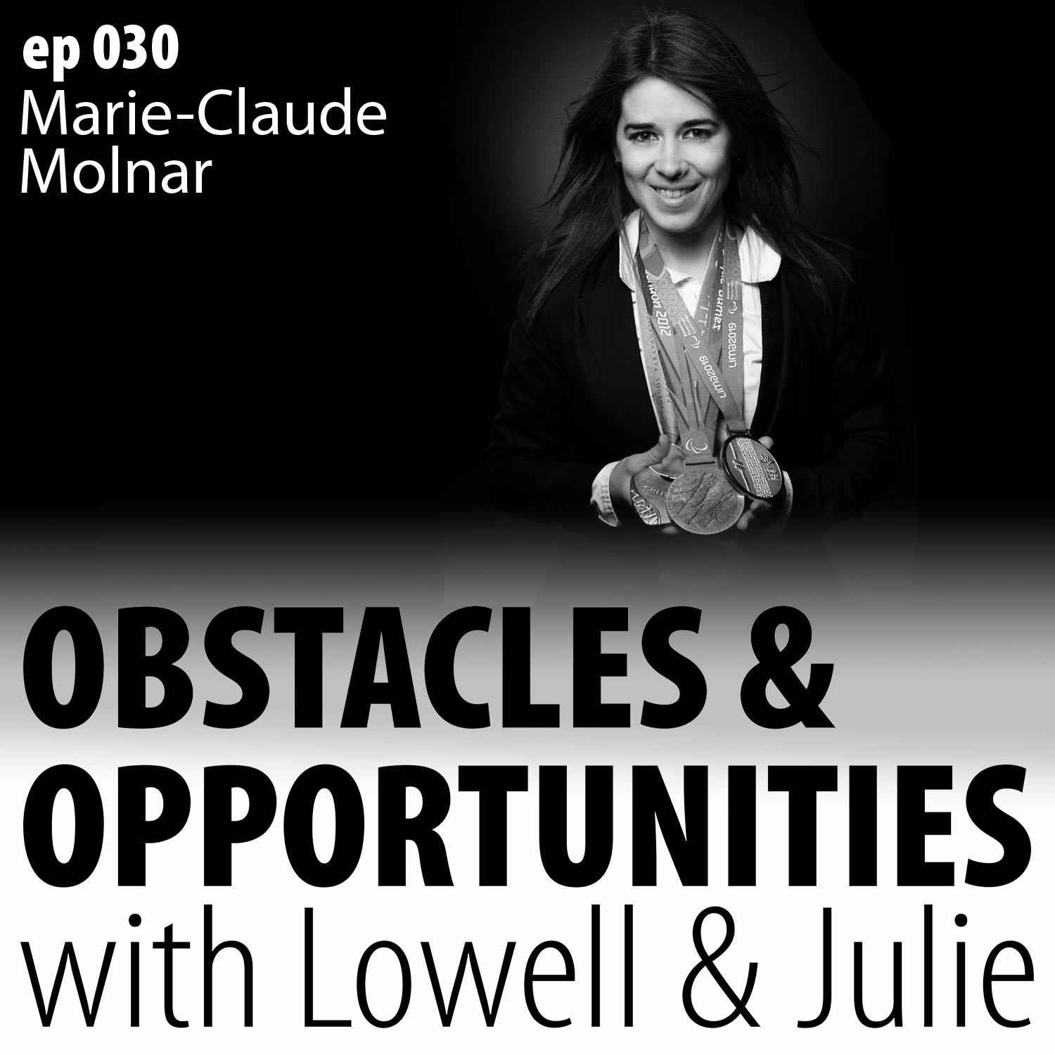 Obstacles & Opportunities