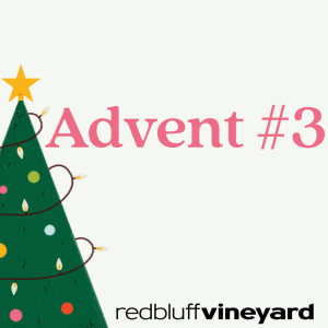 Advent Salvation