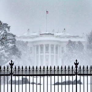 The White House versus The World