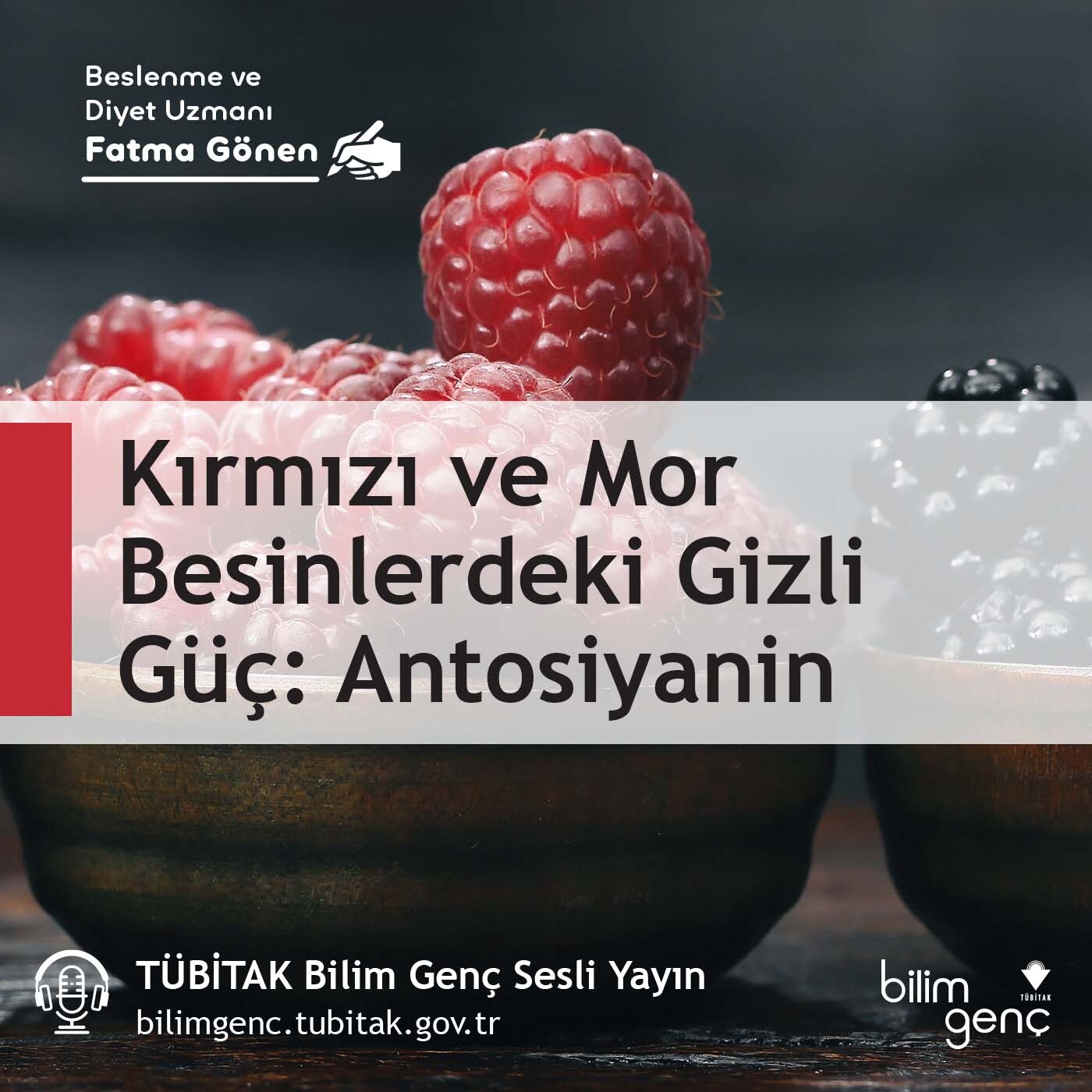 TÜBİTAK Bilim Genç Sesli Yayın