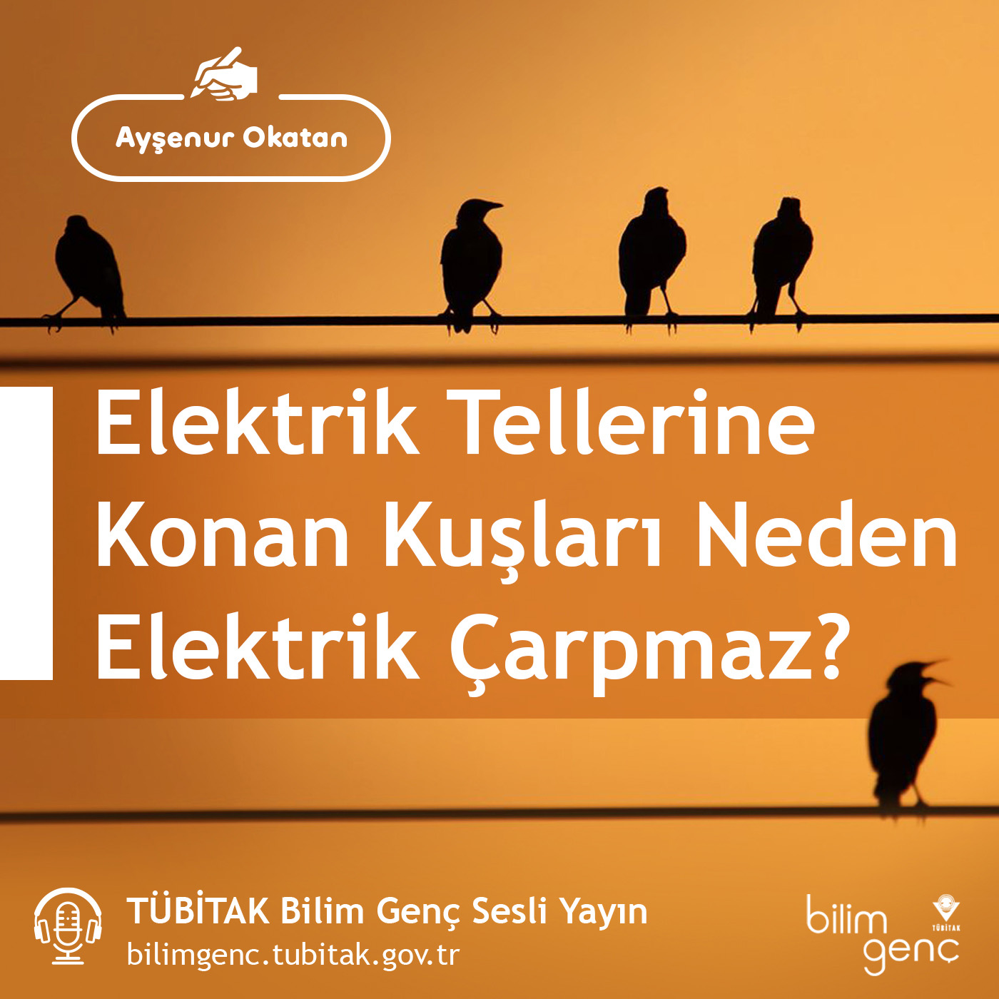 TÜBİTAK Bilim Genç Sesli Yayın