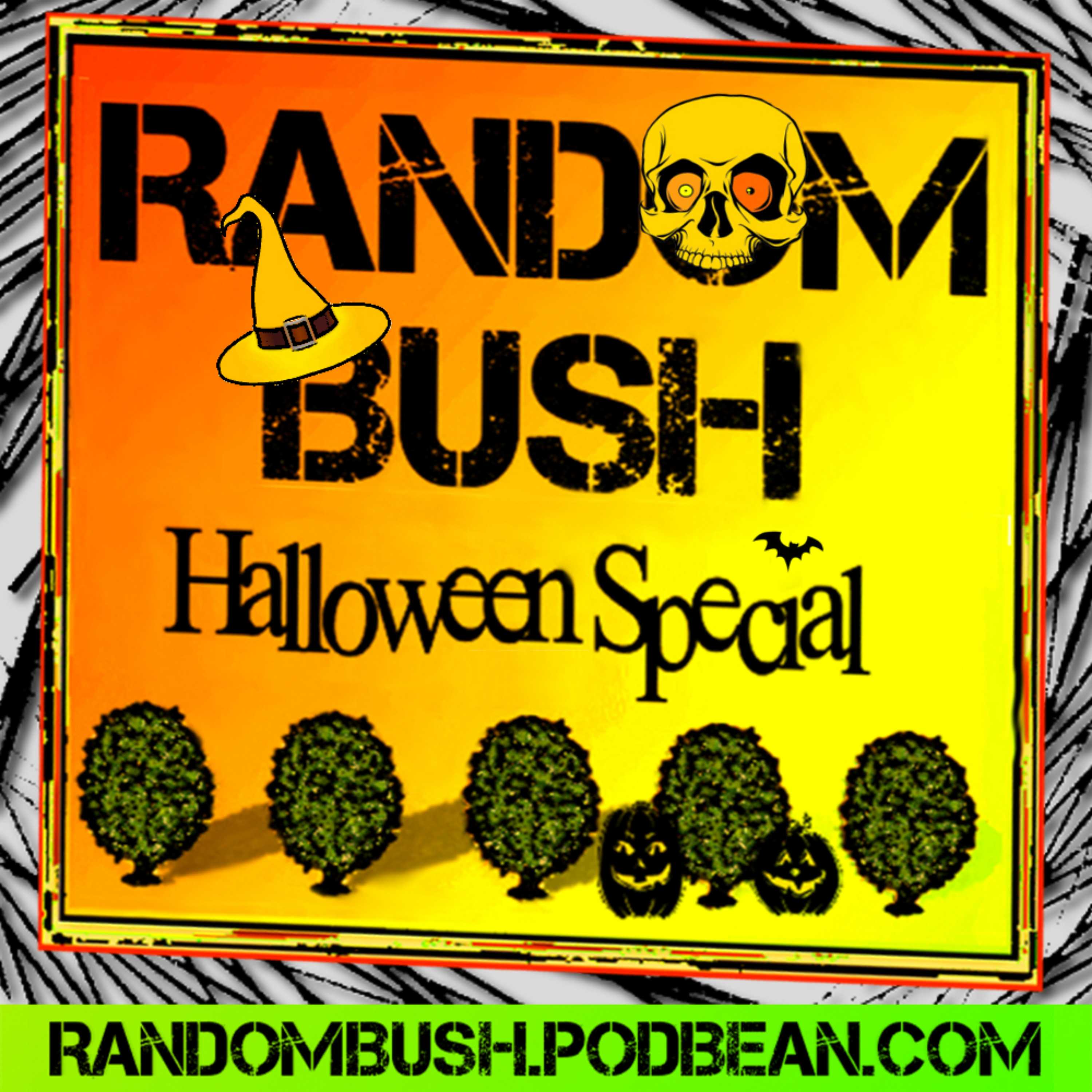 The Super Bush Podcast