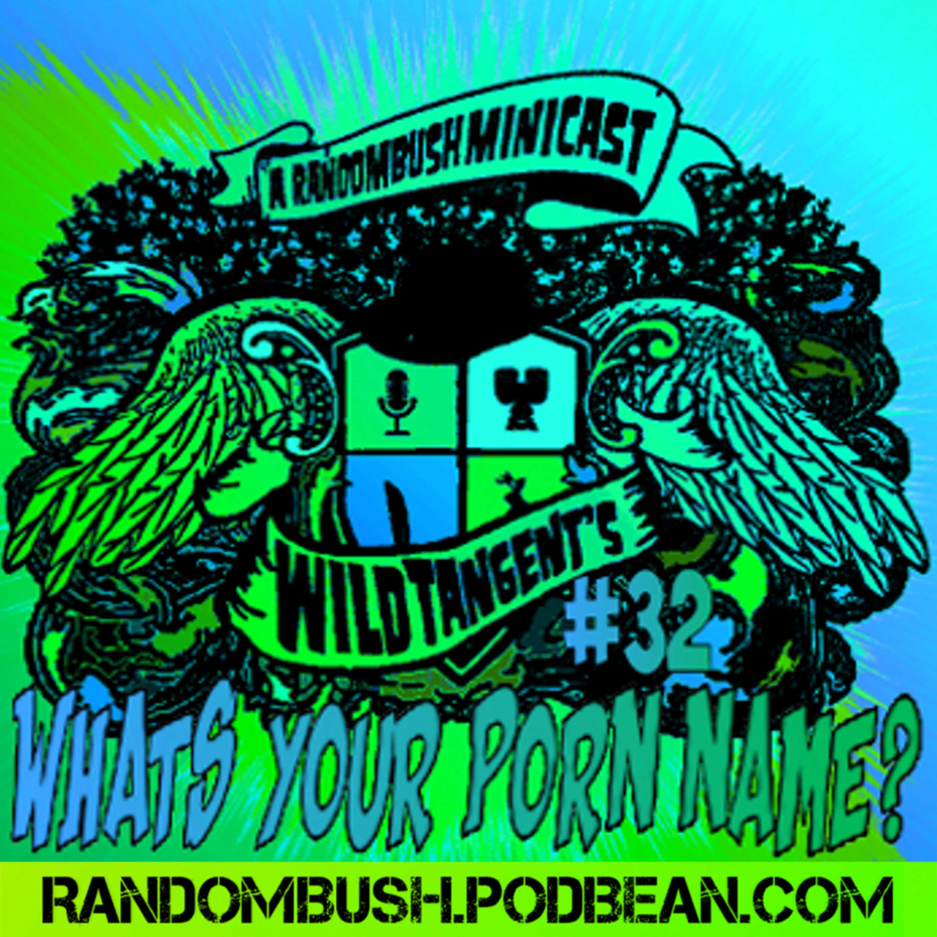 The Super Bush Podcast