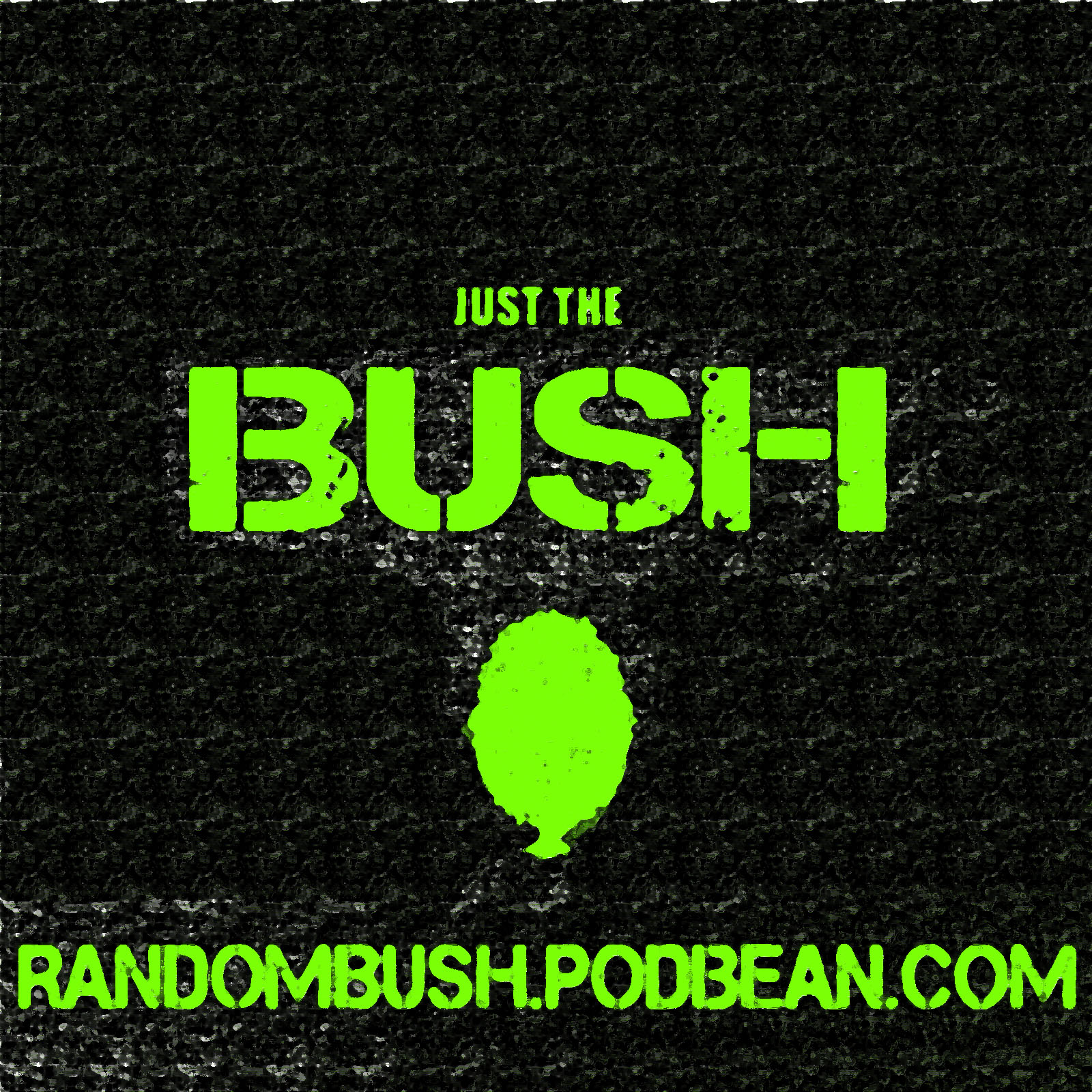 The Super Bush Podcast