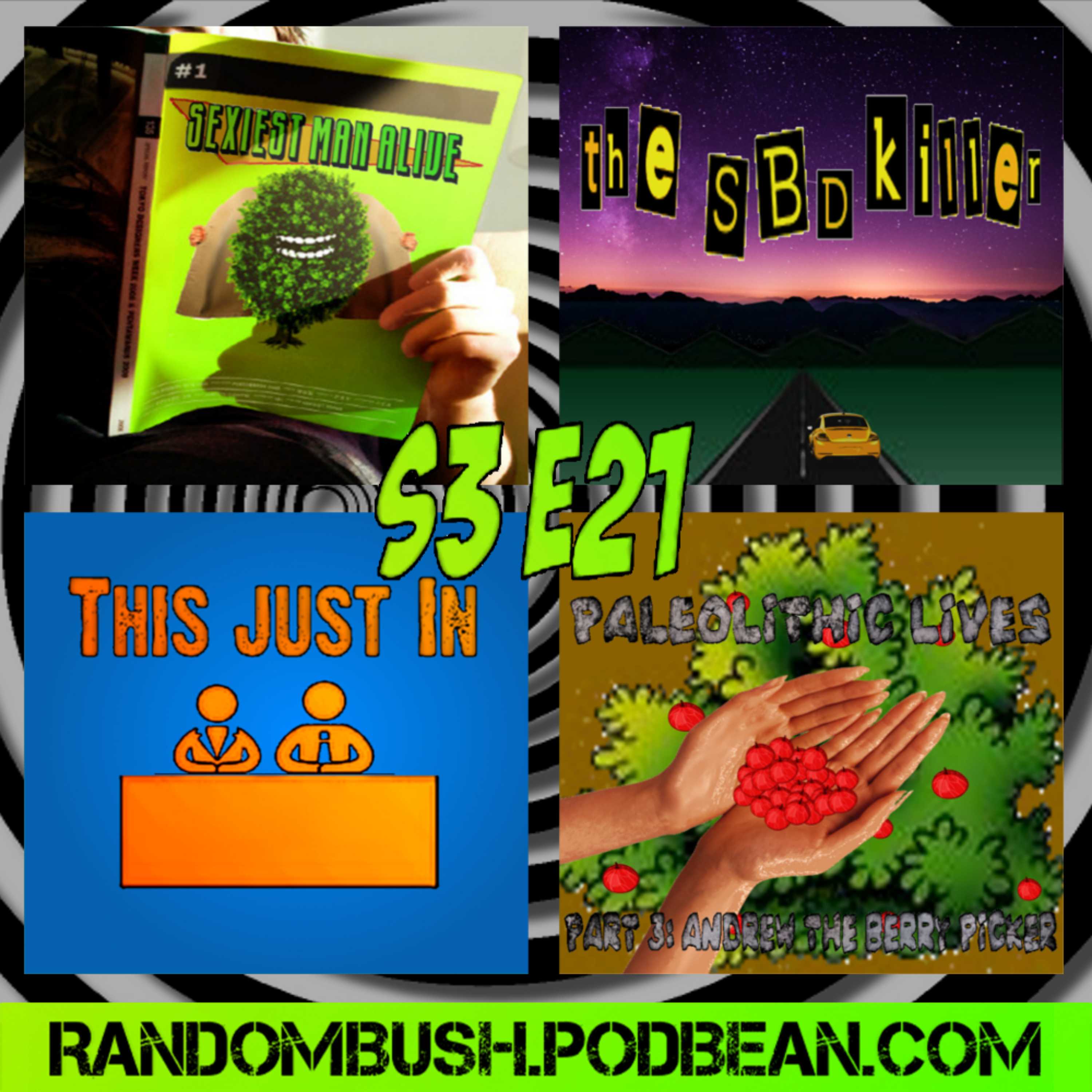 The Super Bush Podcast