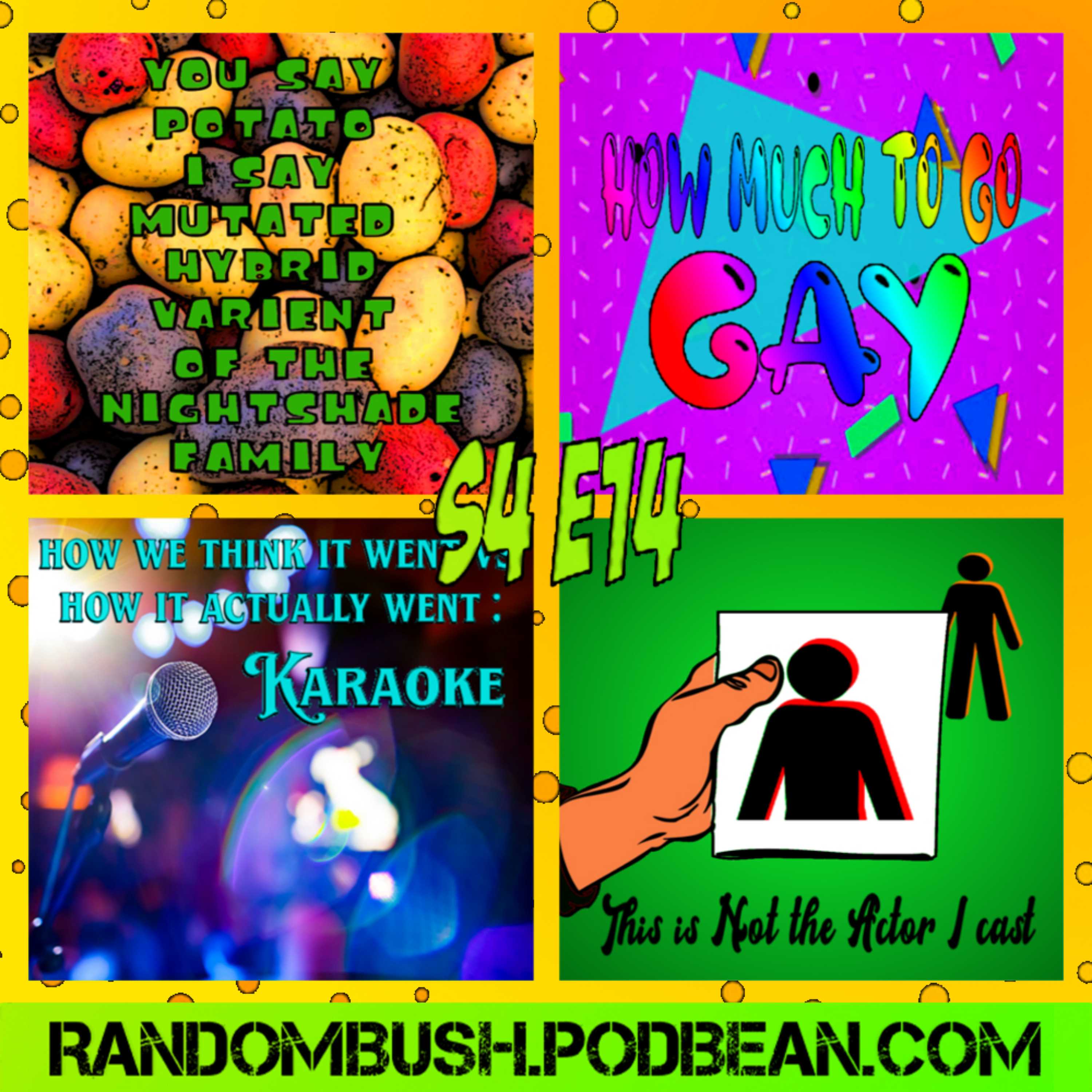 The Super Bush Podcast