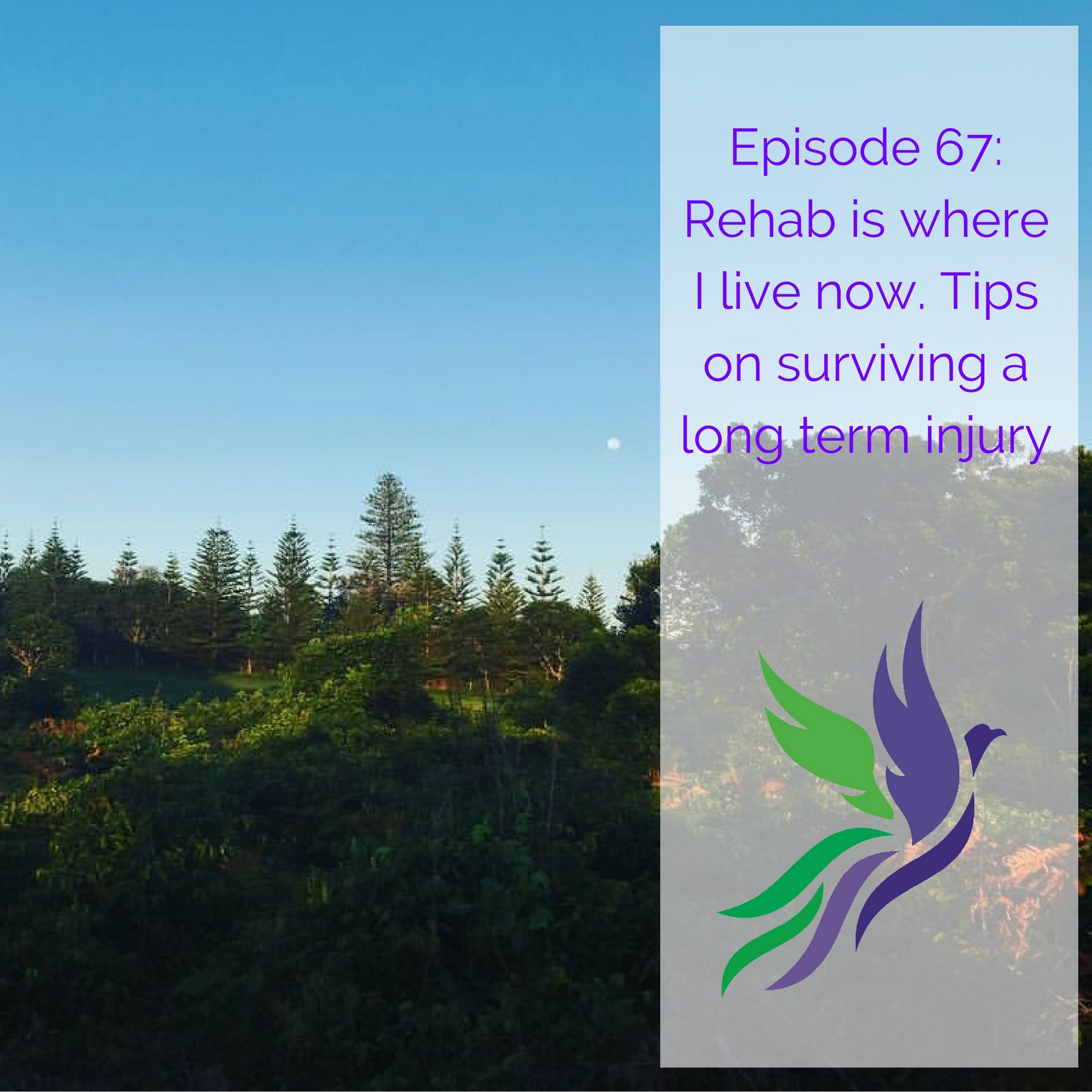 #67 Rehab is where I live now. Tips on surviving a long term injury