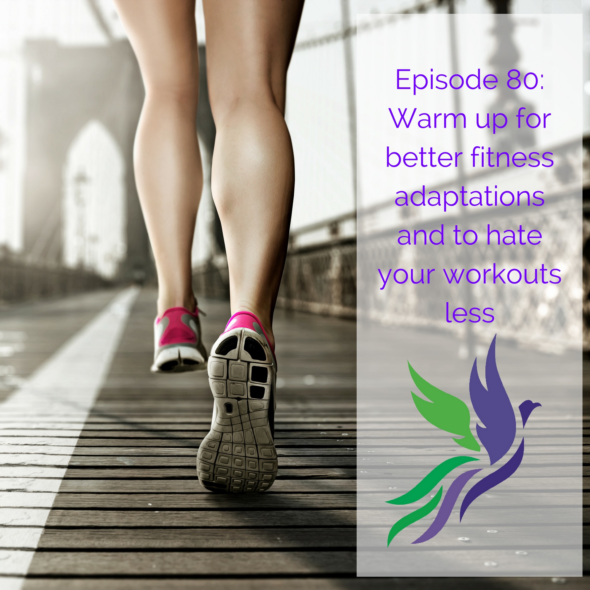 #80 Warm up for better fitness adaptations and to hate your workouts less