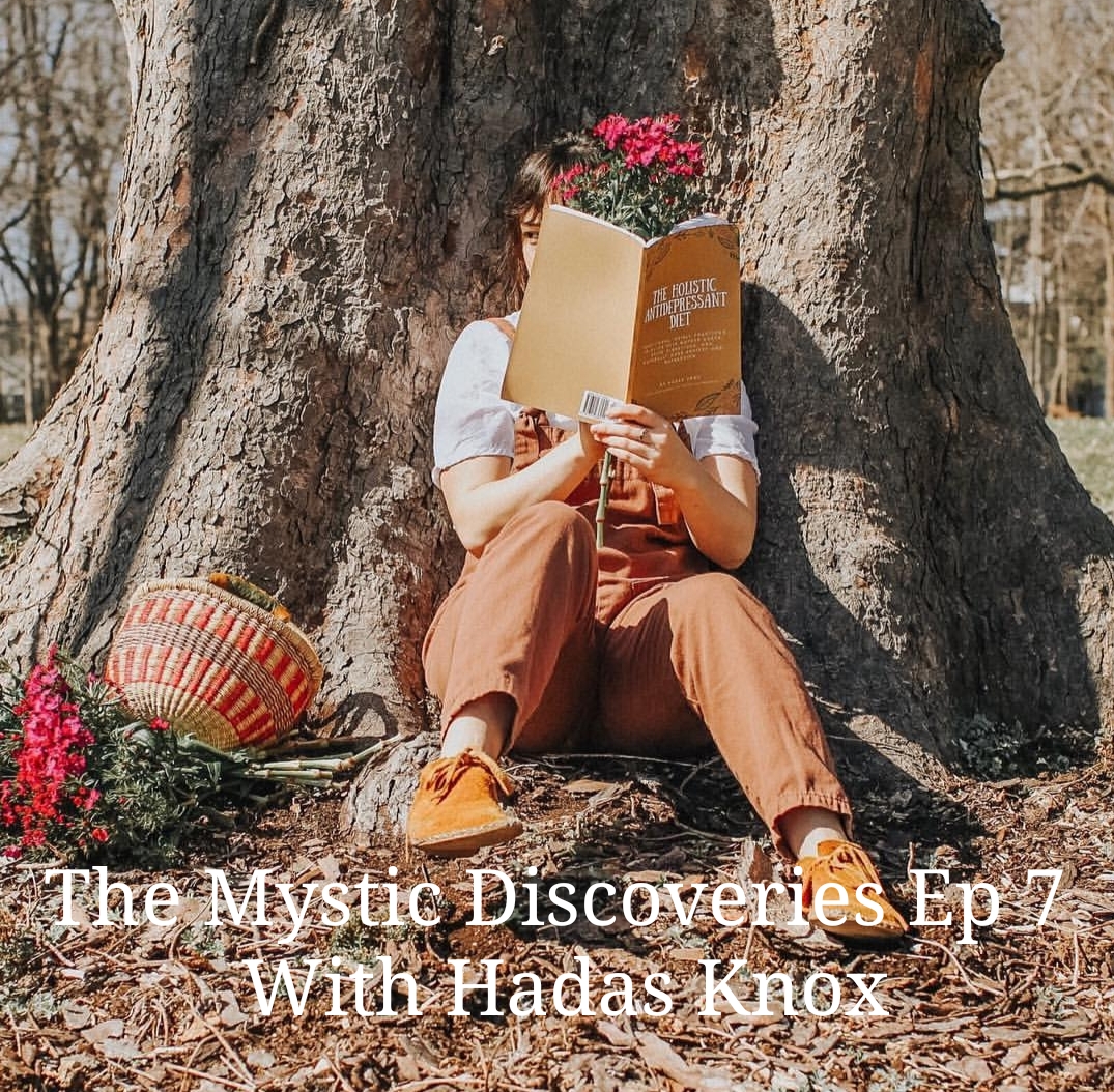 The Holistic Human Podcast
