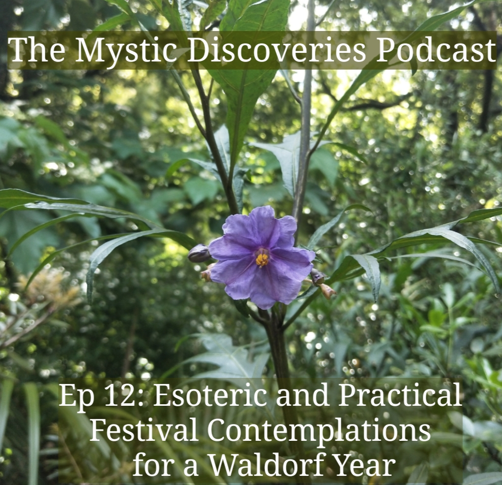 The Holistic Human Podcast