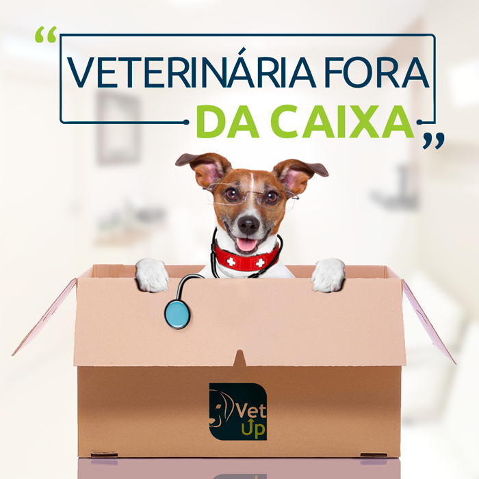 Vet Up Cast