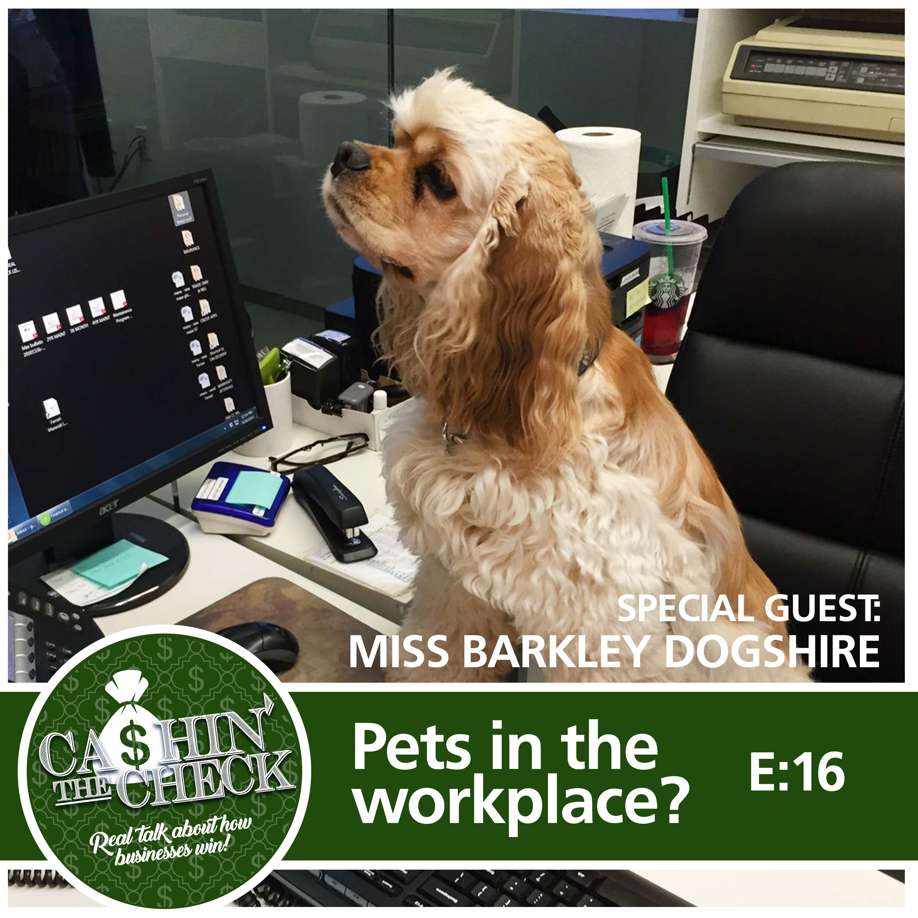 Working like a dog (or, working with a dog)?