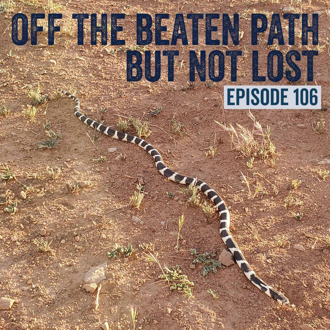 106. Bugging Out Keep bugs and rodents out of your RV Off the beaten