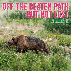 12. All the things you need to know about visiting Glacier National Park