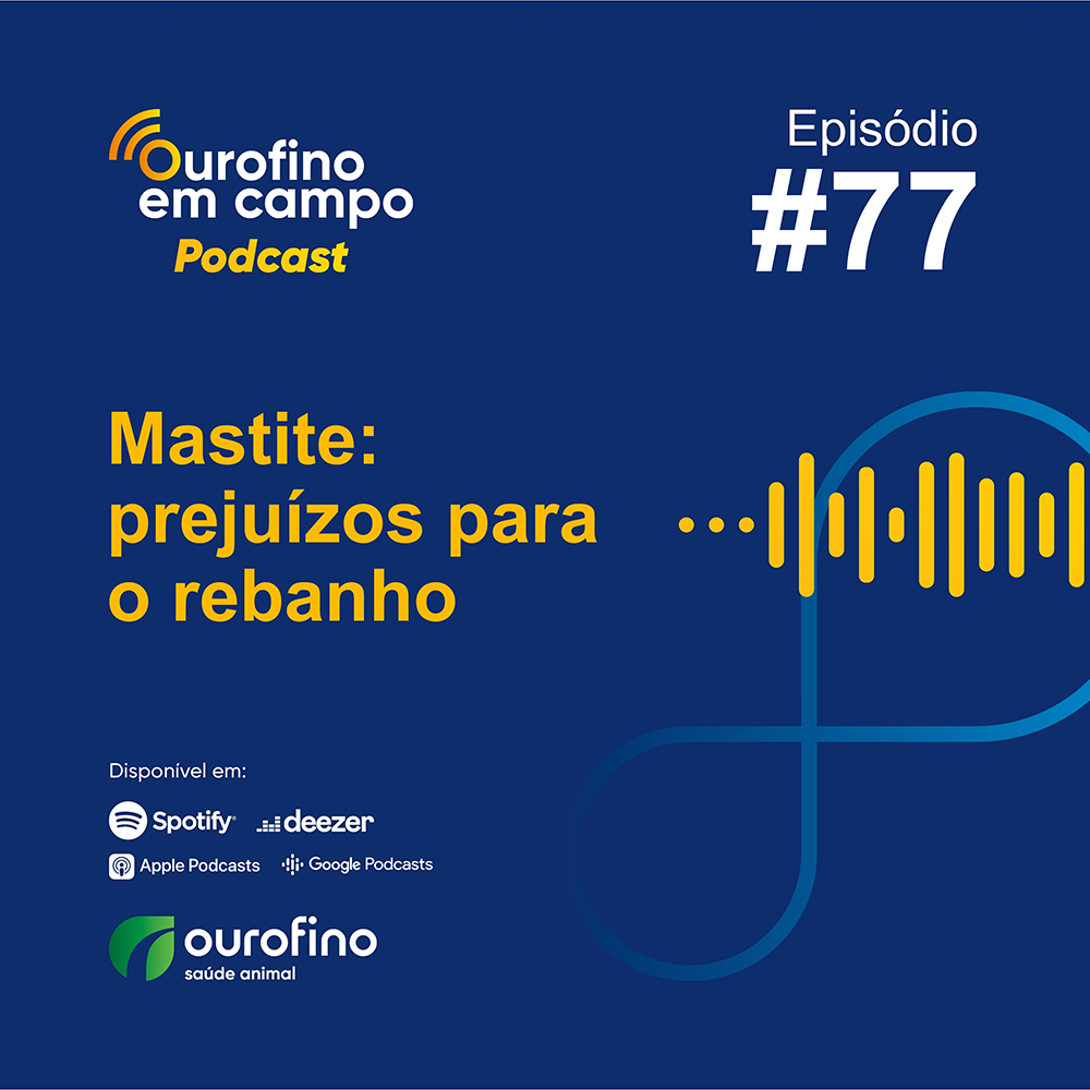 Episódio 77 - Mastite: prejuízos para o rebanho