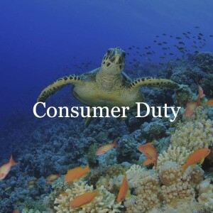 Implications for asset managers  // Consumer Duty