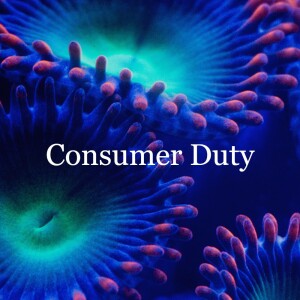 Implementation plans - the FCA’s feedback // Consumer Duty