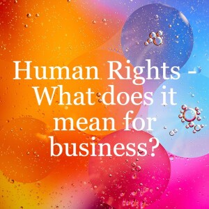 Trends in claims against multinationals in connection with human rights and/or environmental impacts abroad // ESG