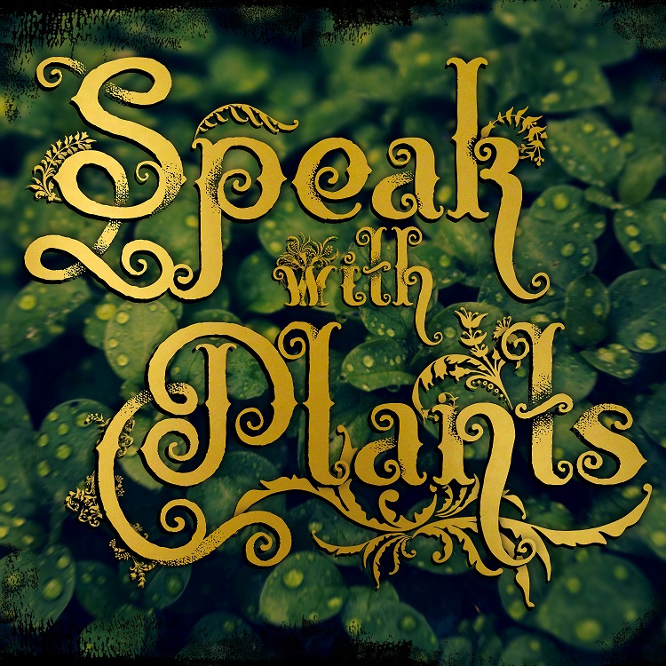 Speak With Plants 2 - Hob Shot First