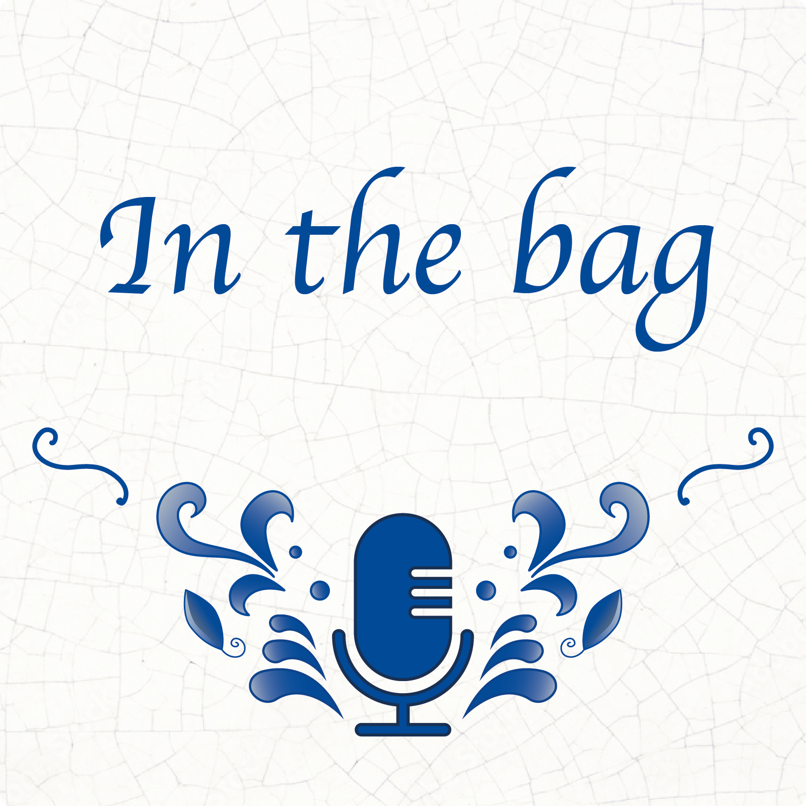 Een kat in de zak kopen Spreekwoordenschat Podcast Podtail Een kat in de zak kopen Spreekwoordenschat Podcast Podtail