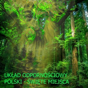 ISKRY ŚWIATŁA, Odczyt i Kreacja Polan (12.2022): UKŁAD ODPORNOŚCIOWY POLSKI - ŚWIĘTE MIEJSCA