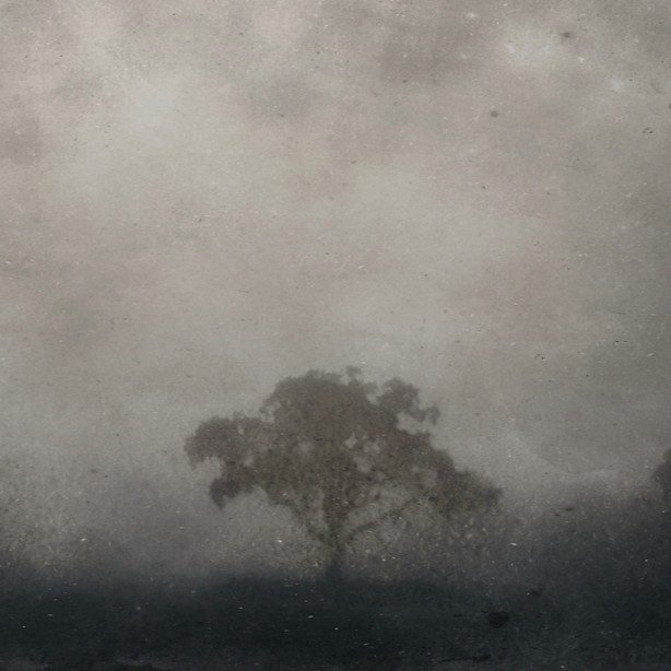 A Novel Thought Presents