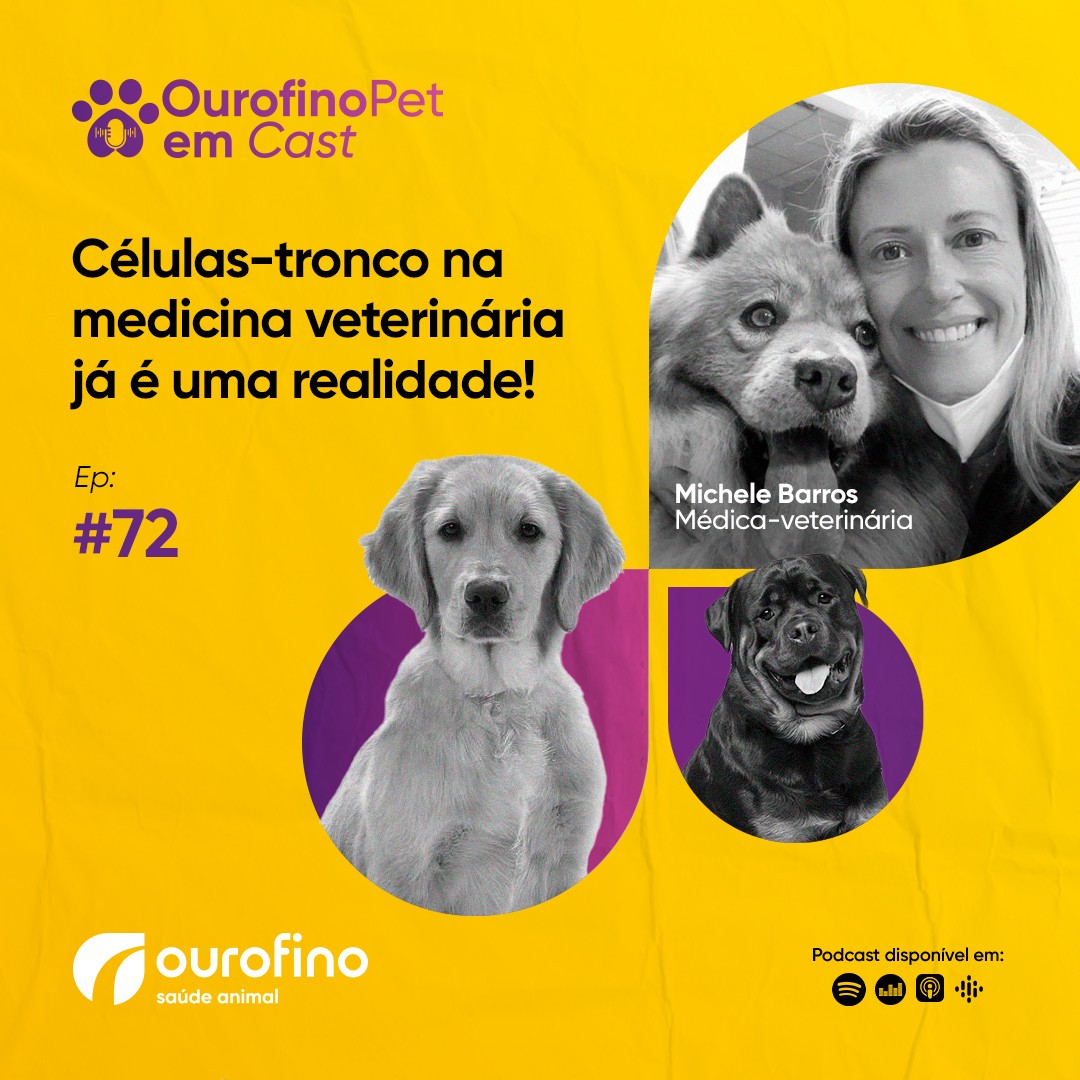 Episódio 72 - Células-tronco na medicina veterinária já é uma realidade