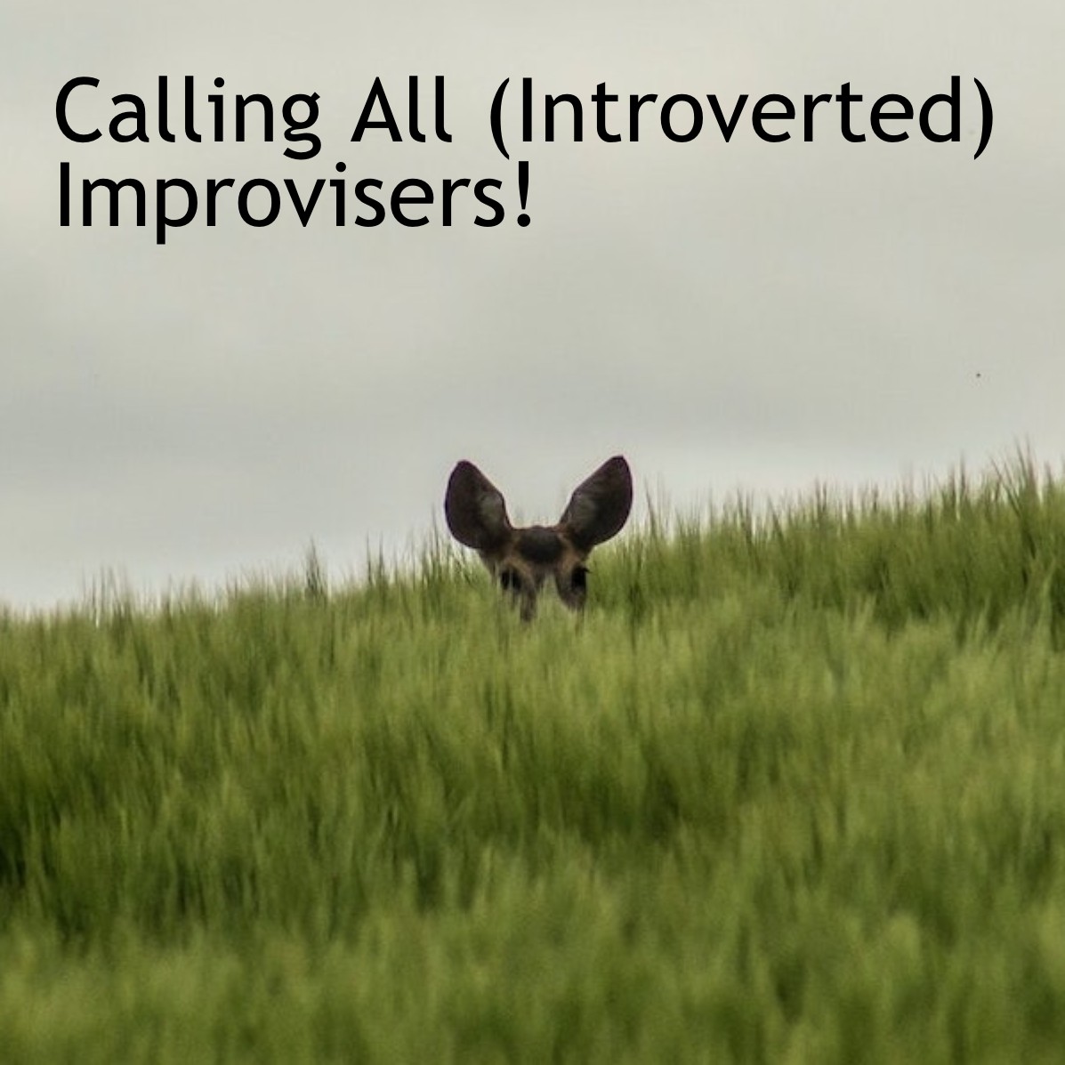 Introverted Improvisers