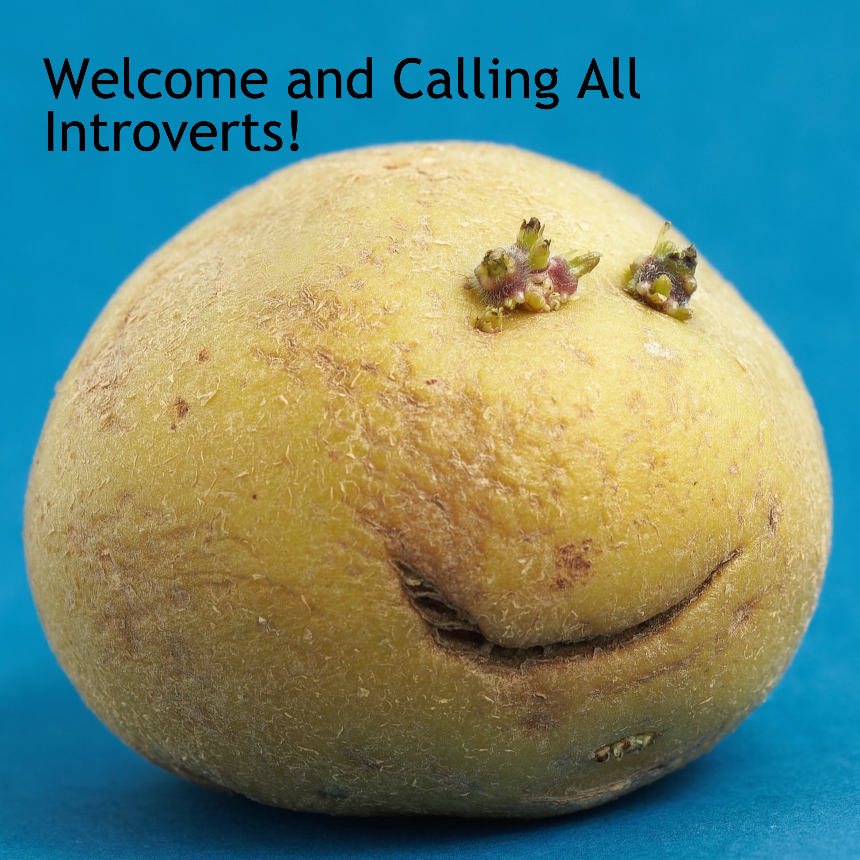 Introverted Improvisers