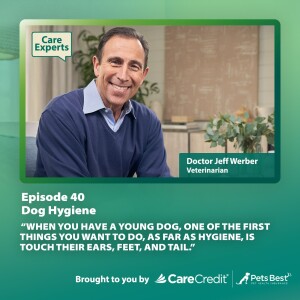 Dr. Jeff Werber - Dog Hygiene