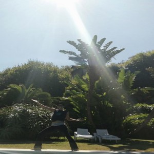 Chapter 14 Restorative Yoga and the Disco within Us